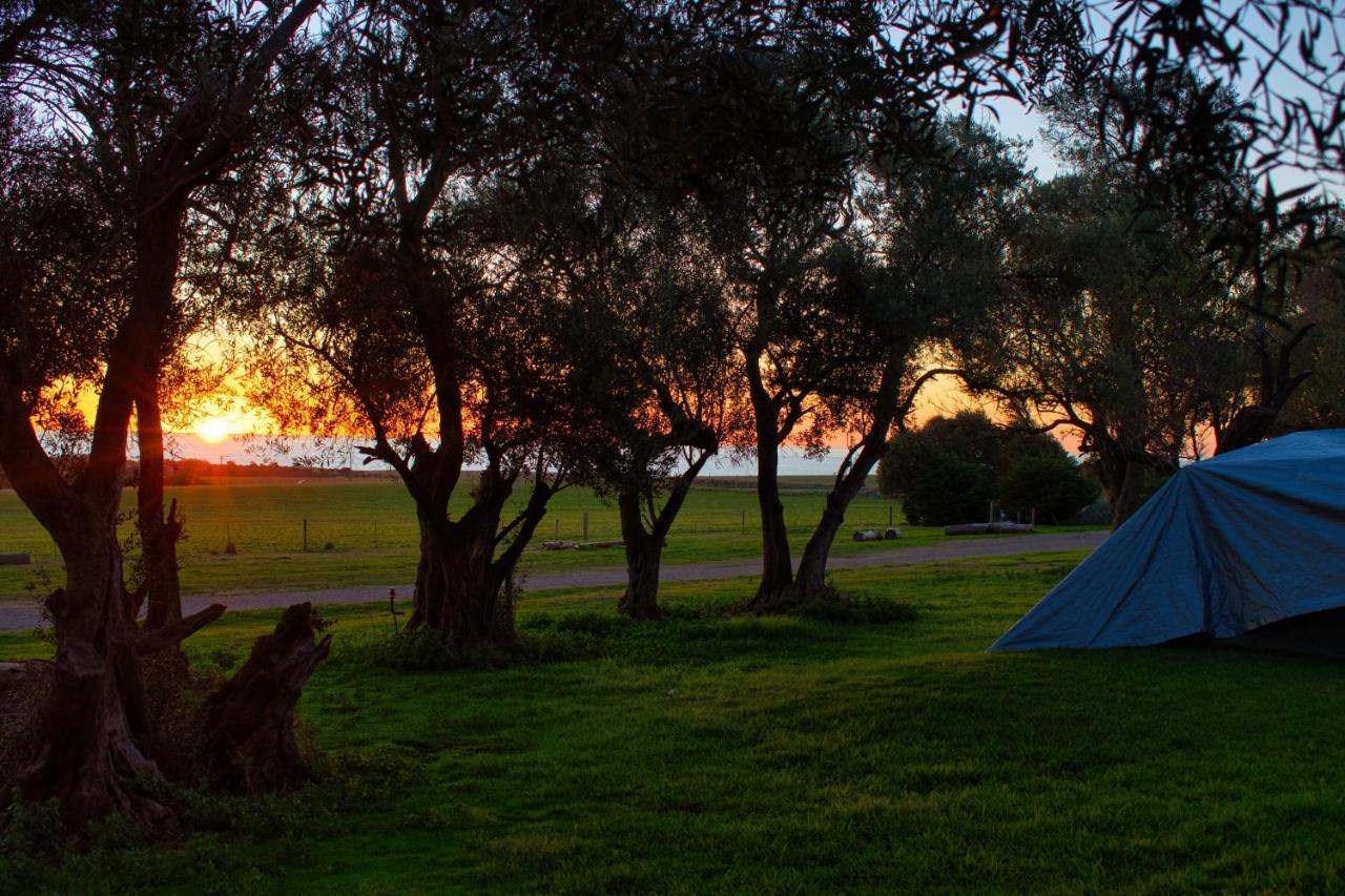 Big4 Cape Jervis Accommodation & Caravan Park Extérieur photo